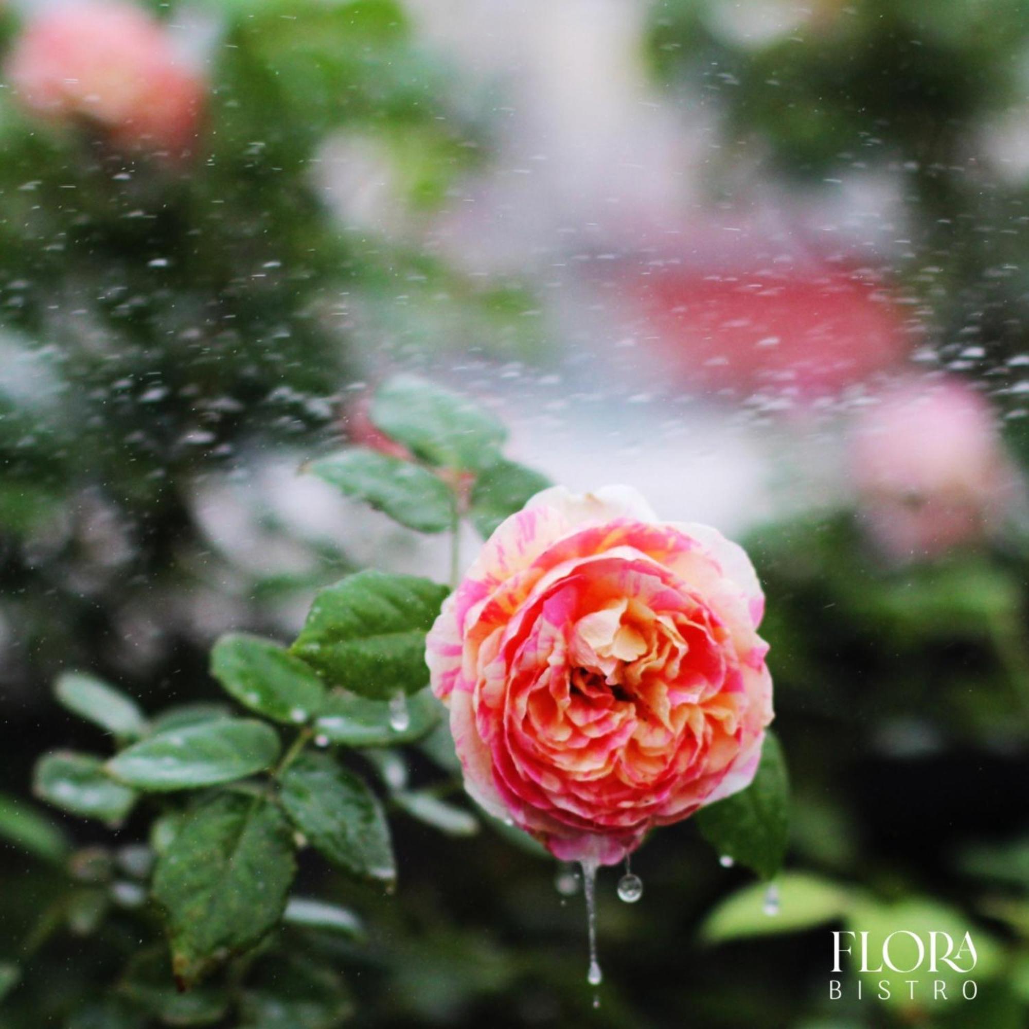 The Bloom Pham Viet Chanh - Modern Living Space In Saigon Хошимин Экстерьер фото